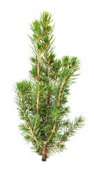 Similar image 21155741