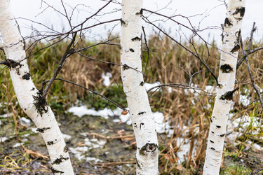 Similar image 21155843