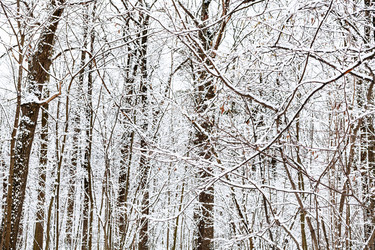 Similar image 21152158