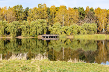 Similar image 21133054