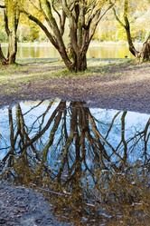 Similar image 21133059