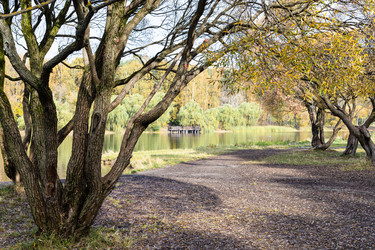 Similar image 21133060