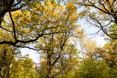 Similar image 21133063