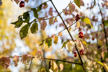 Similar image 21133316