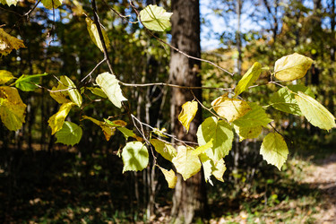 Similar image 21133410