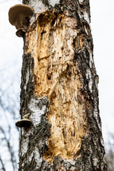 Similar image 21152031