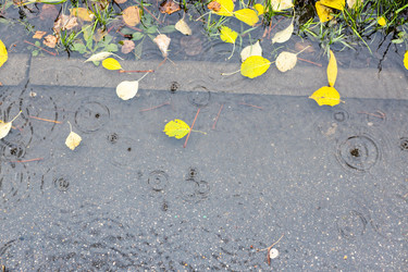 Similar image 21156158