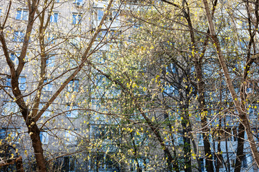 Similar image 21132859