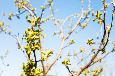 Similar image 21133074