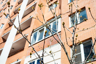 Similar image 21133319