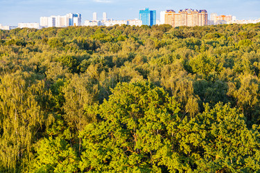 Similar image 21156259