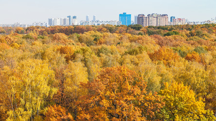 Similar image 21132860