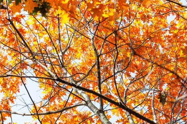 Similar image 21152170