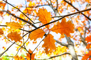 Similar image 21155631