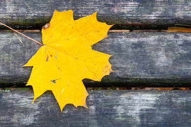 Similar image 21155850