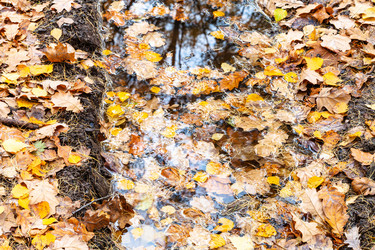 Similar image 21155953