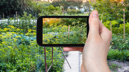 Similar image 21156263