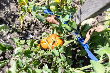 Similar image 21142642