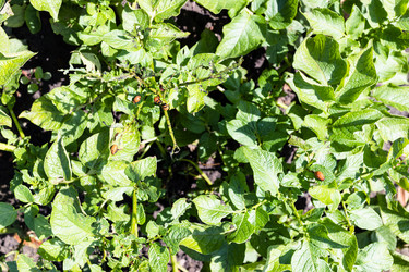 Similar image 21142644