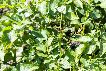 Similar image 21142645