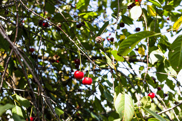 Similar image 21142646