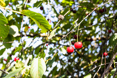 Similar image 21142647