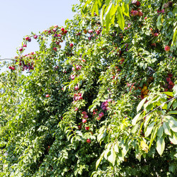 Similar image 21142649