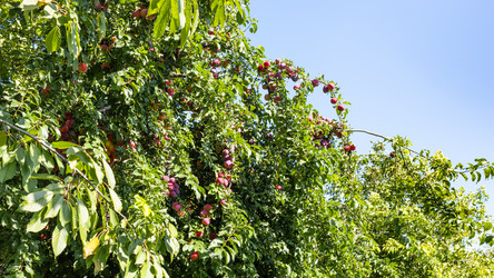 Similar image 21142650