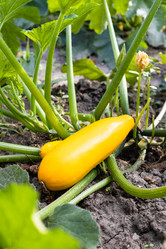 Similar image 21155757