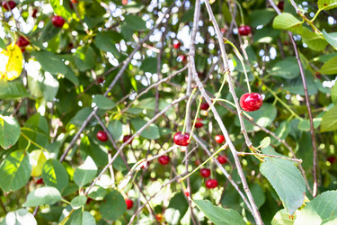 Similar image 21156057