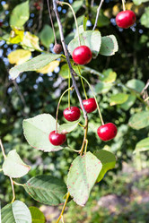 Similar image 21156168