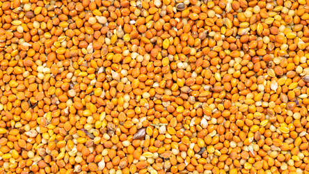 Similar image 21155964