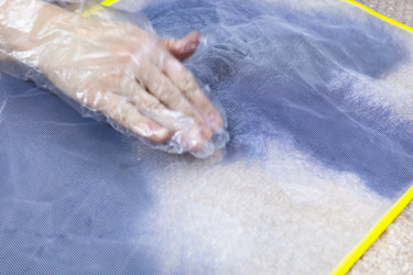 Similar image 21155967