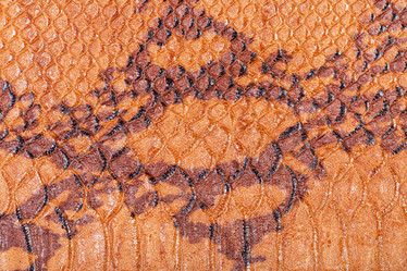 Similar image 21152038