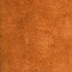 Similar image 21152203