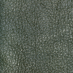 Similar image 21155871