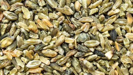 Similar image 21133174