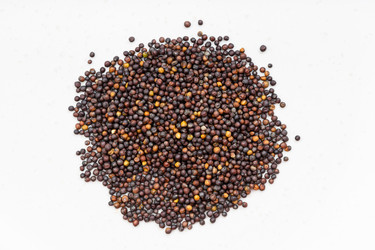 Similar image 21133342