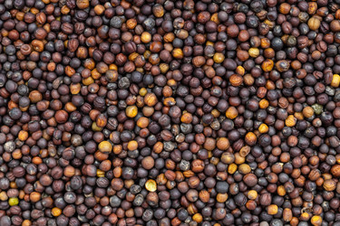 Similar image 21133443