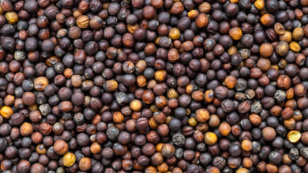 Similar image 21133445