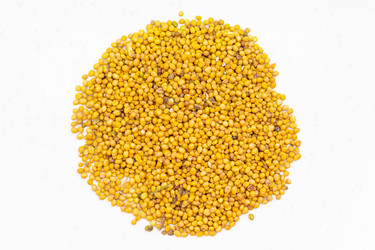 Similar image 21142724