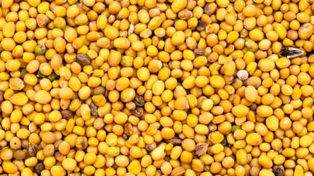 Similar image 21142727