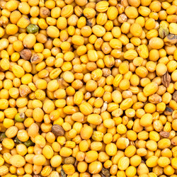 Similar image 21142728