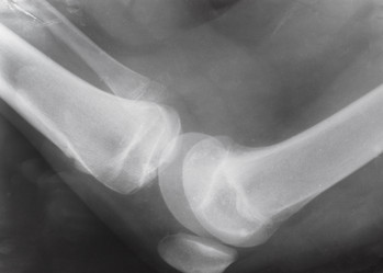 Similar image 21133351