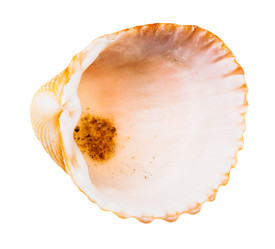 Similar image 21155663