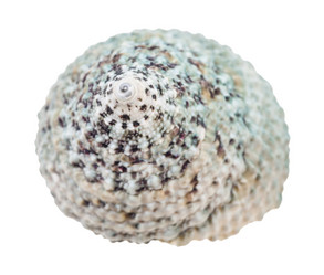 Similar image 21156202