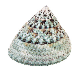 Similar image 21156203