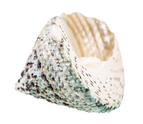 Similar image 21156287