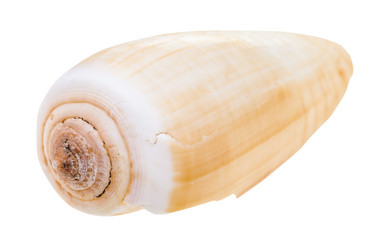 Similar image 21156386