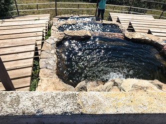 Similar image 21133256